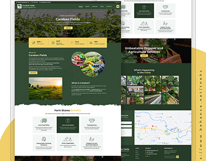 Carabao Fields | Website Design