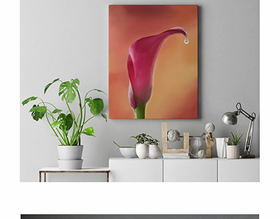 Flower Digital Painting
