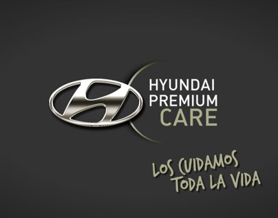 Creative concept Tender: Hyundai post-sale service