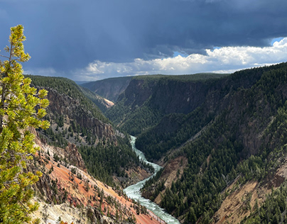 Gorge at Yellowstone National Park
