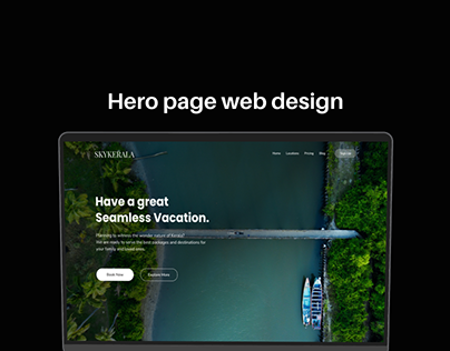 Hero page web design