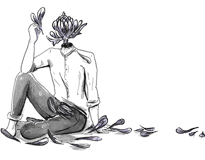 Chrysanthemum Boy Illustration and Animation