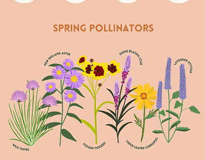 Spring Pollinators for HGTV Canada