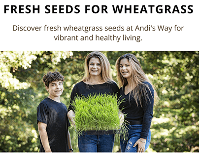 Fresh and Organic Seeds For Wheatgrass