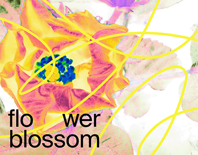 flower blossom