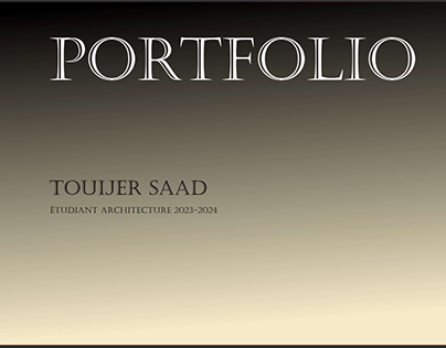 Portfolio Touijer Saad