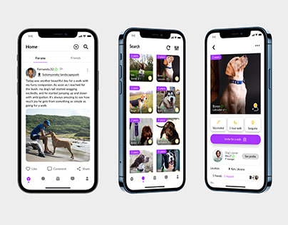 PetWalk is a mobile app for dog owners