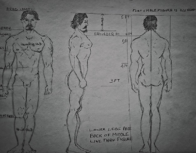 Male and Female anatomy