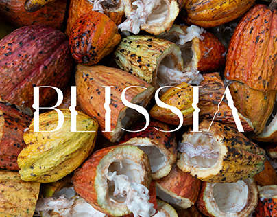 BLISSIA | Chocolate Brand Identity & Logo Design