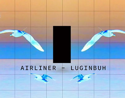 Airliner - Luginbuh