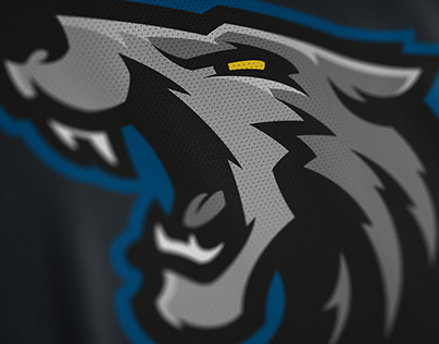 Minnesota Timberwolves Rebrand Concept