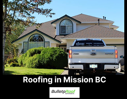 Are You Looking For The Best Roofers In Mission City?