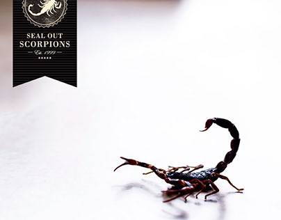 Scorpion Extermination in Scottsdale
