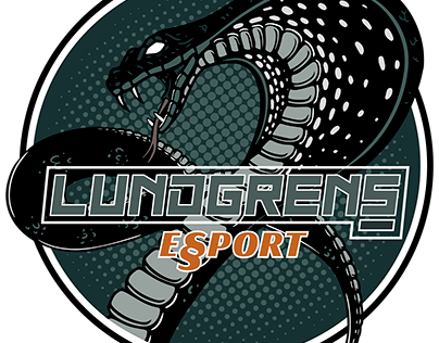 Lundgrens E-Sport