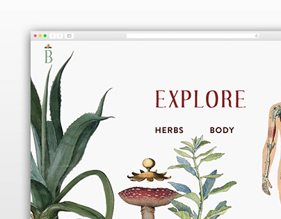 Botanical- Interface & Poster