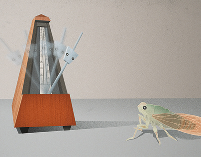 The metronome and the cicada