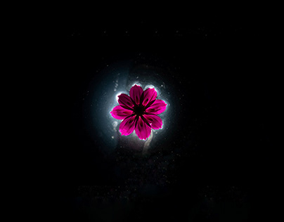 Nebula flower