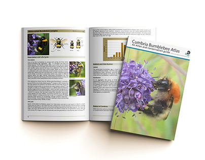 Cumbria Bumblebee Atlas 2022