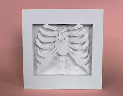 Rib Cage & Heart paper sculpture