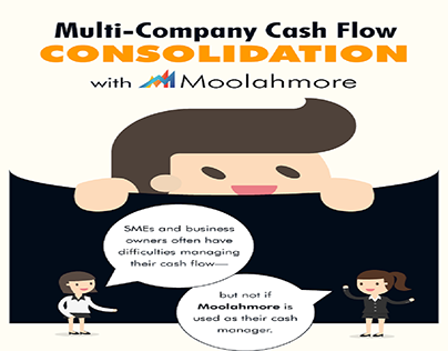 Multi-Company Cash Flow Consolidation With Moolahmore