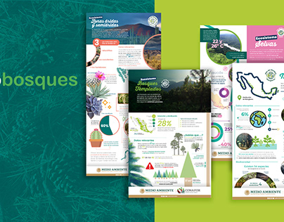infographic- Infobosques
