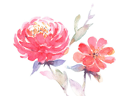 Free Watercolor Peony Flower Painting Clipart