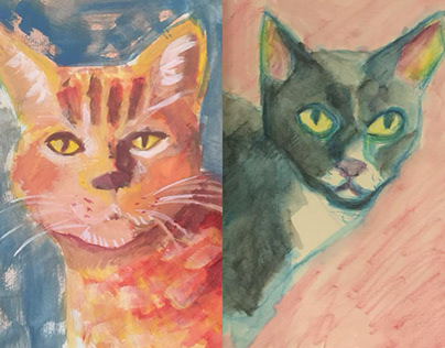 Cat Portraits!