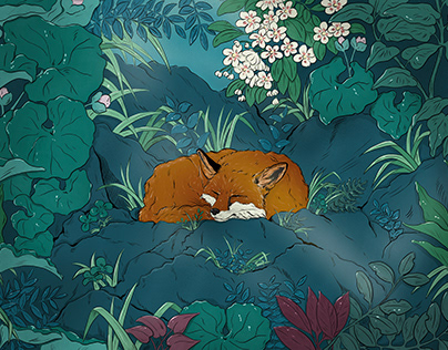 Where the fox sleeps