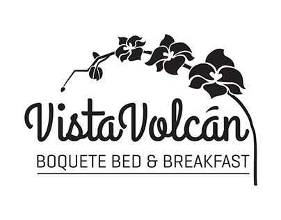Vista Volcan identity