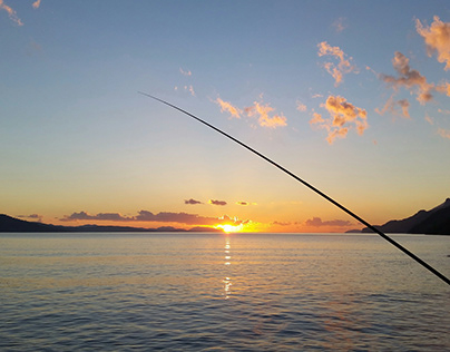 Obtaining a Saltwater Shore Fishing License