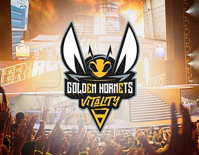 Project thumbnail - FLAG - Golden Hornets