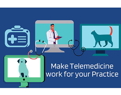 The Veterinary Telemedicine Workflow