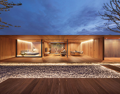 THE SKYSCAPE ROOFTOP HOUSE CGI replica