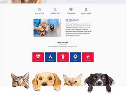 Northwest Pet Hospital Website Design