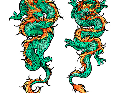 Dragon on white background. Illustration for T-shirt.