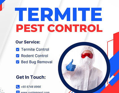 Termite Control by System Pest