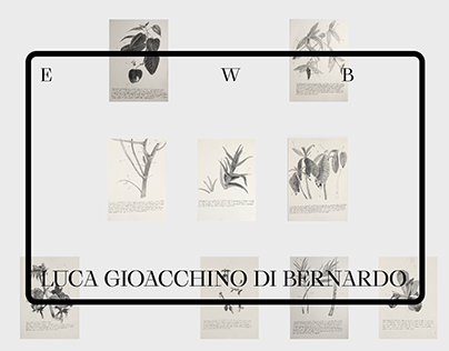 Luca Gioacchino Di Bernardo ● Artist Website