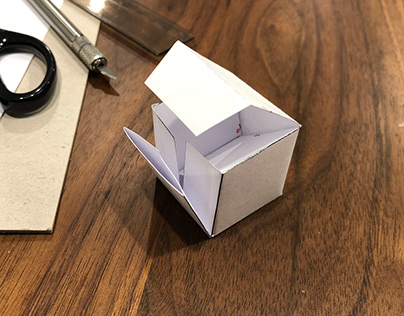 cardboard toilet prototype