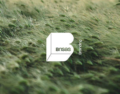 Project thumbnail - Branding Brisas