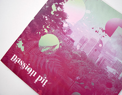 Passion Pit Vinyl Box Set