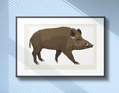 wild Boar Illustration