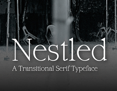 Nestled Regular | Transitional Serif Typeface