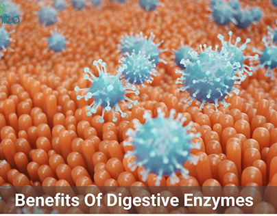 Health Benefits Of Digestive Enzymes
