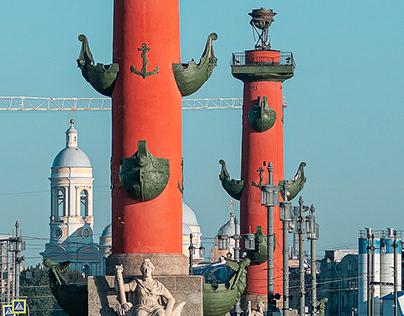 The Rostral Columns