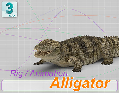 3D Rig & Animation - Alligator