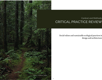Critical practice review