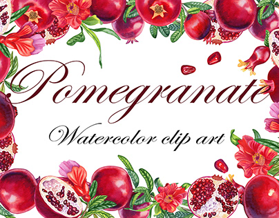 Pomegranates watercolor set clip art and design