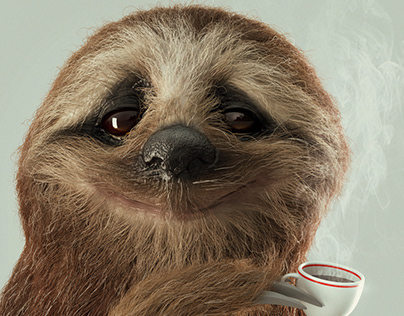Sloth Coffee Break