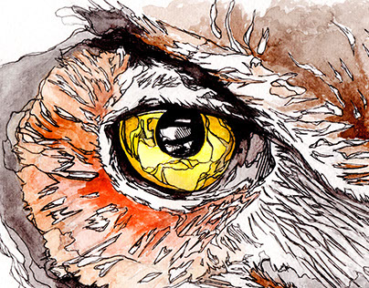Wise Eye Owl
