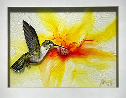Hummingbird #3 on Yellow